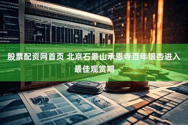 股票配资网首页 北京石景山承恩寺百年银杏进入最佳观赏期