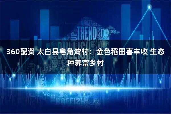 360配资 太白县皂角湾村：金色稻田喜丰收 生态种养富乡村