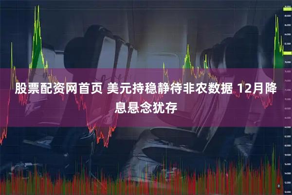 股票配资网首页 美元持稳静待非农数据 12月降息悬念犹存